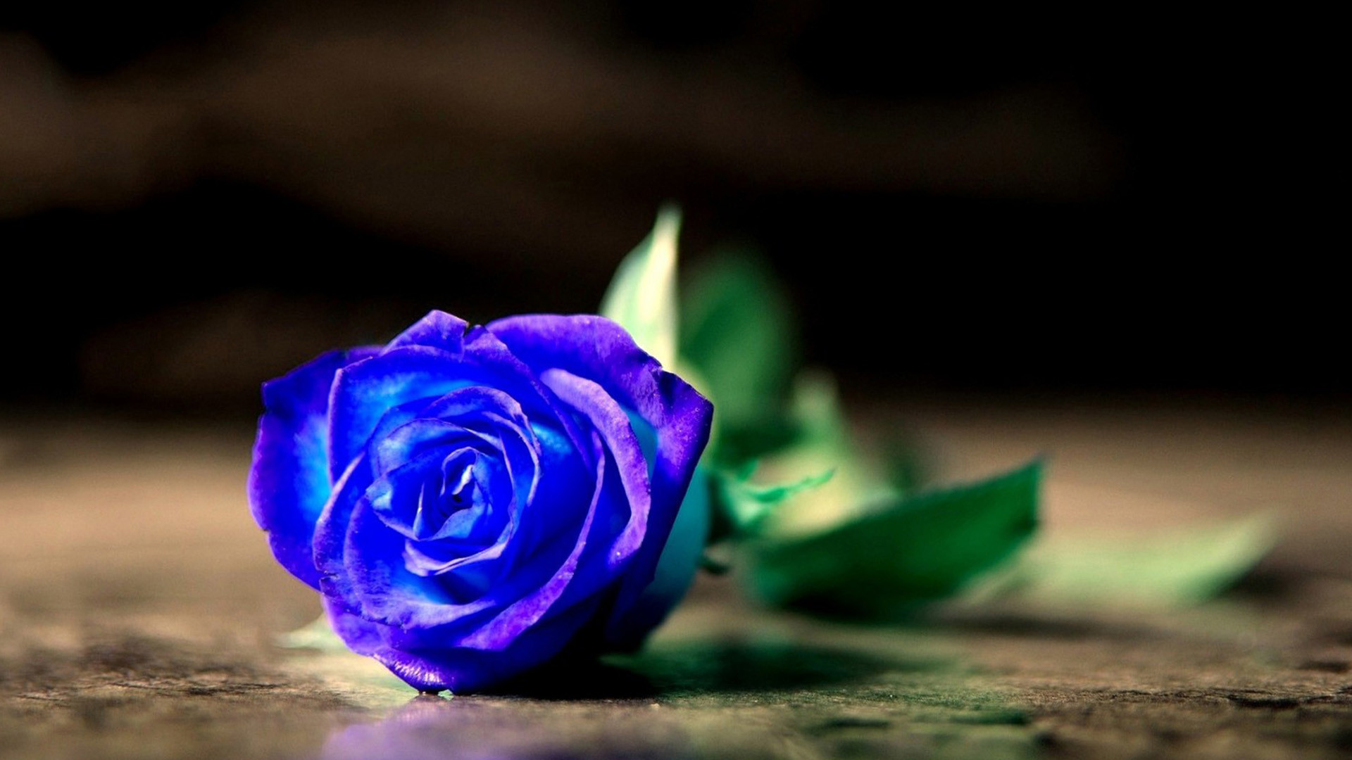 蓝色水晶玫瑰花 - 全部作品 - 素材集市