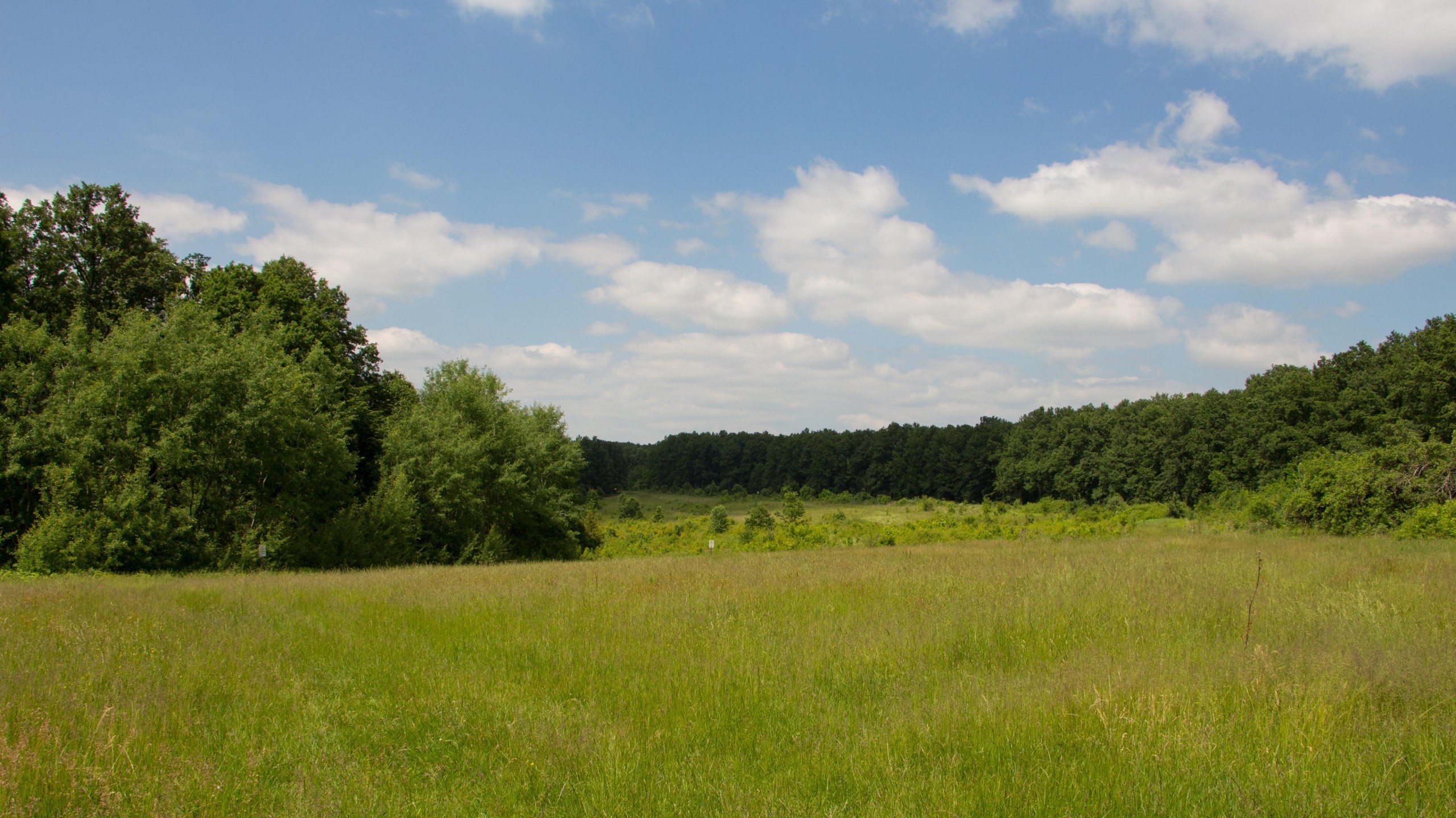 Die 66+ Besten Wiese Hintergrundbilder