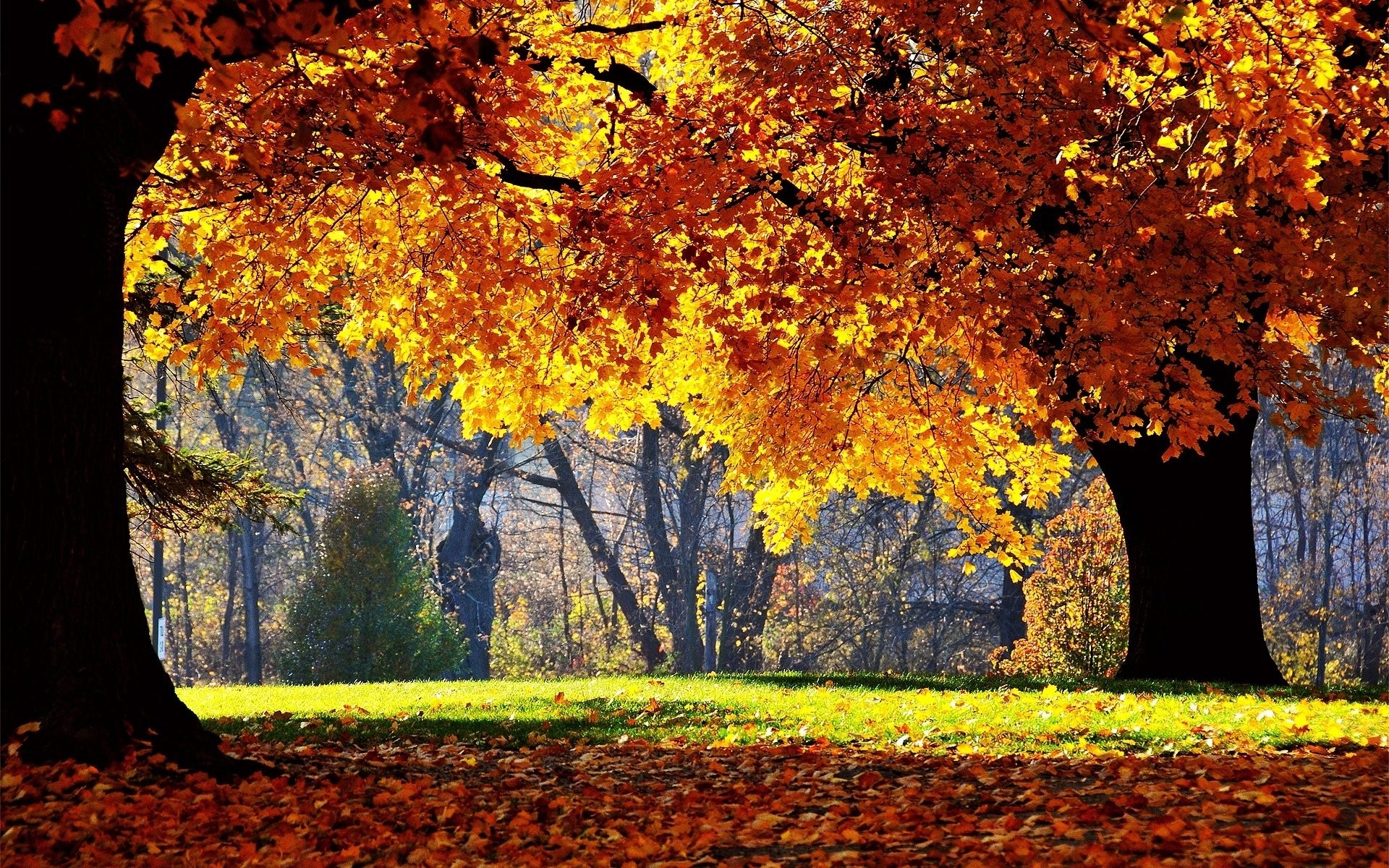 Die 81+ Besten Herbst Hintergrundbilder HD