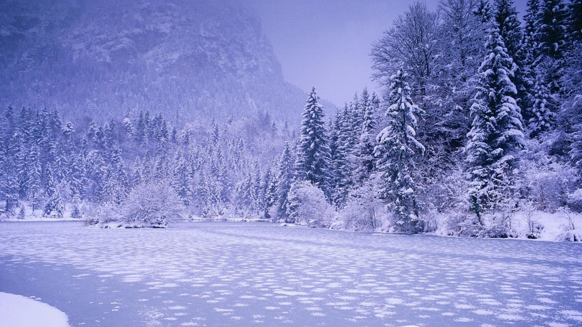 Natur Hintergrundbilder Winter Kostenlos 1920X1080 - Lamanoguiada