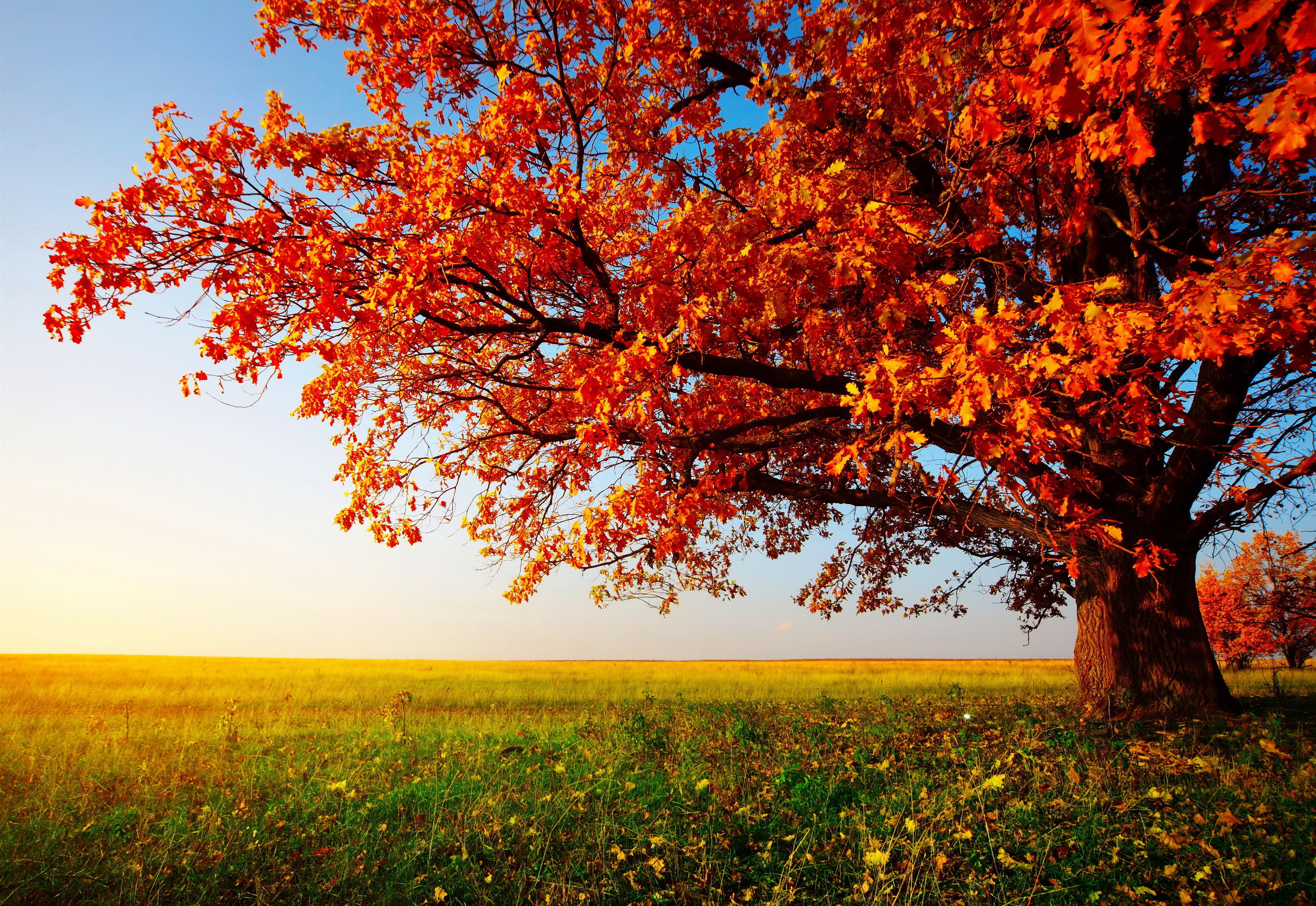 Die 66 Besten Herbst Hintergrundbilder Die 66 Besten Herbst Hintergrundbilder