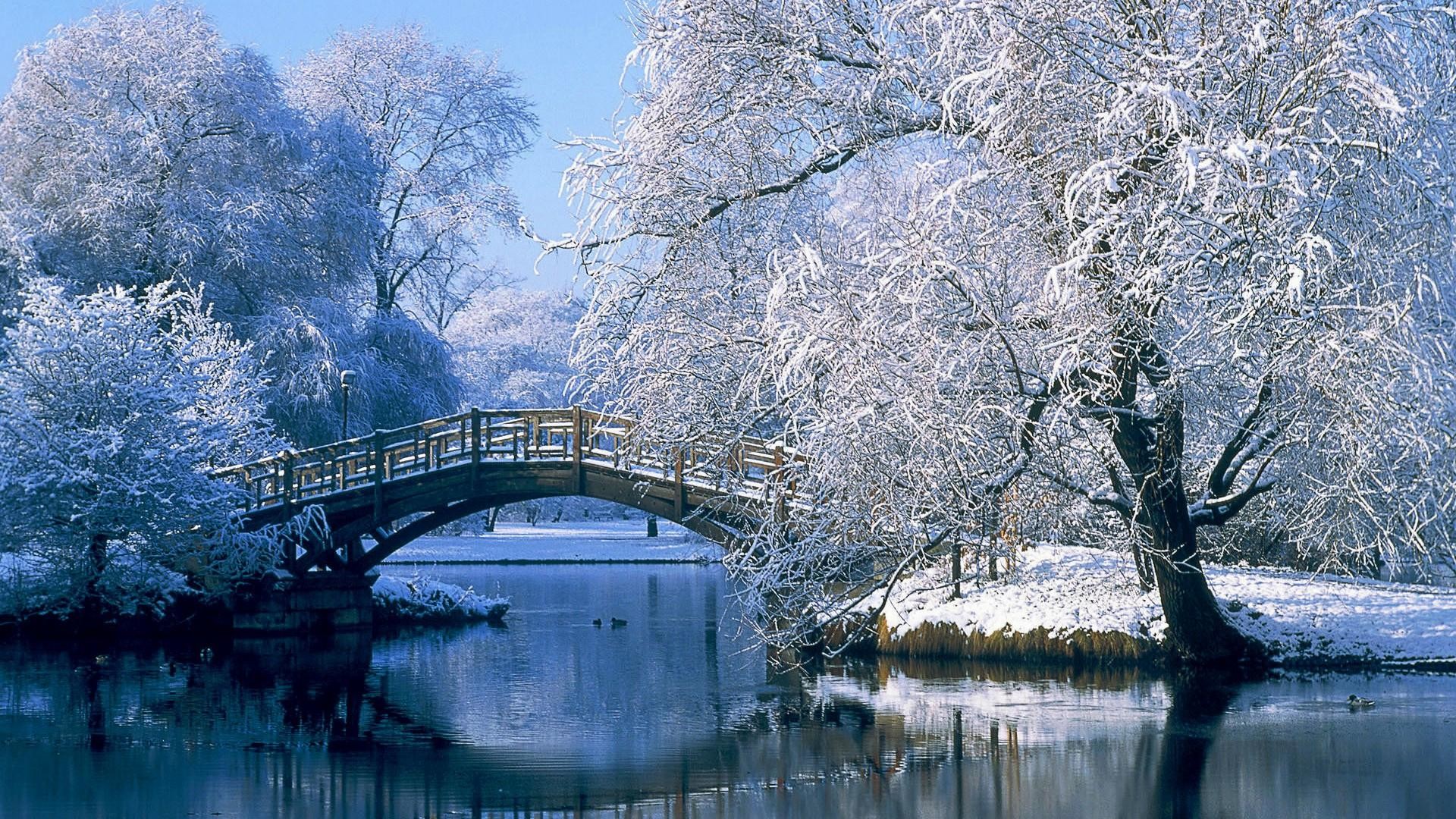 Die 69 Besten Natur und Winter Hintergrundbilder