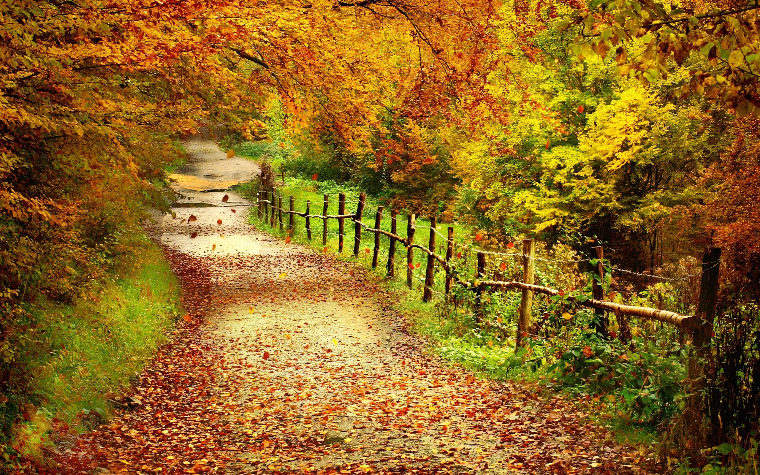 37 Herbstbilder Kostenlos Hintergrund Besten Bilder Von Ausmalbilder