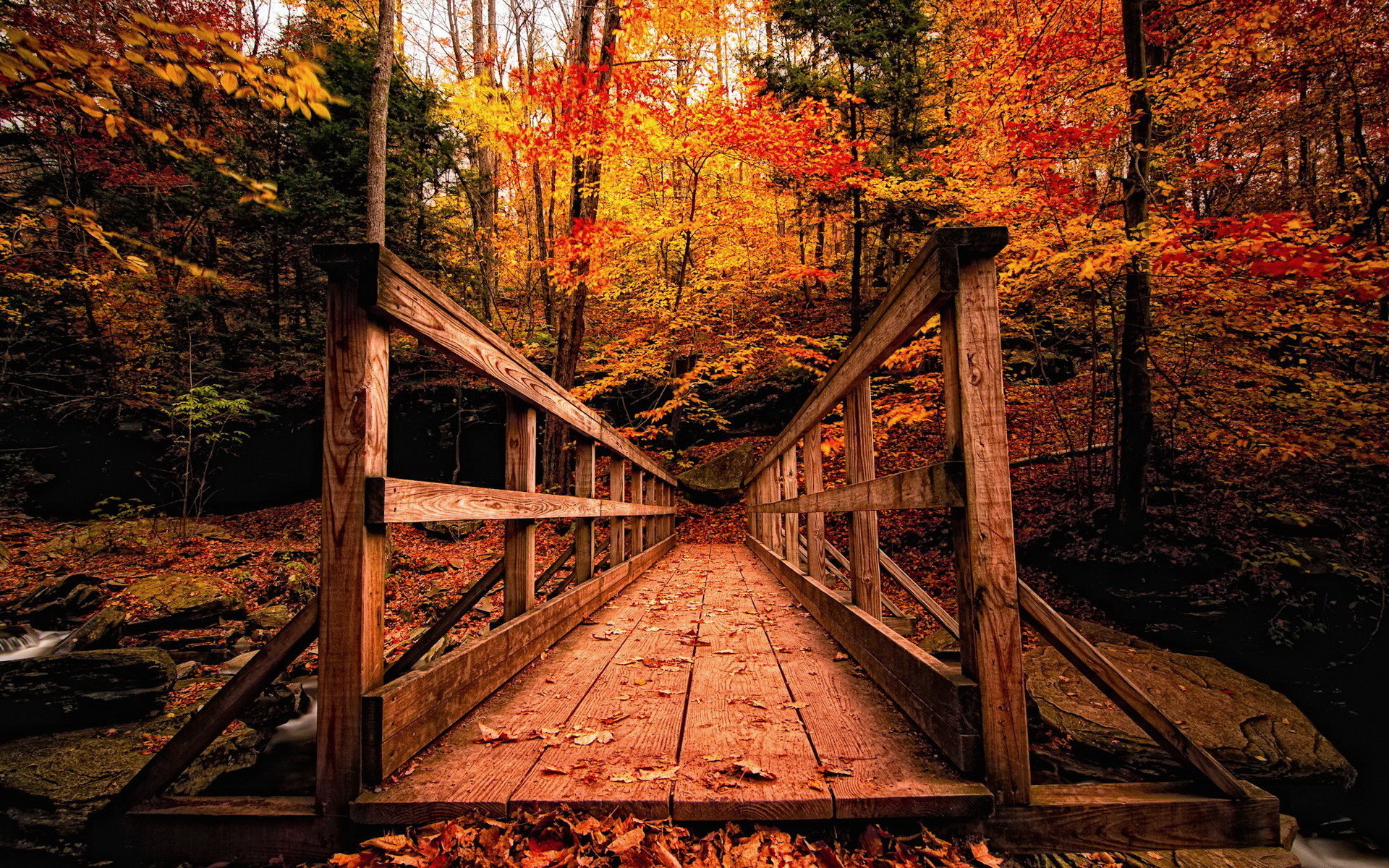 Die 81 Besten Herbst Hintergrundbilder HD
