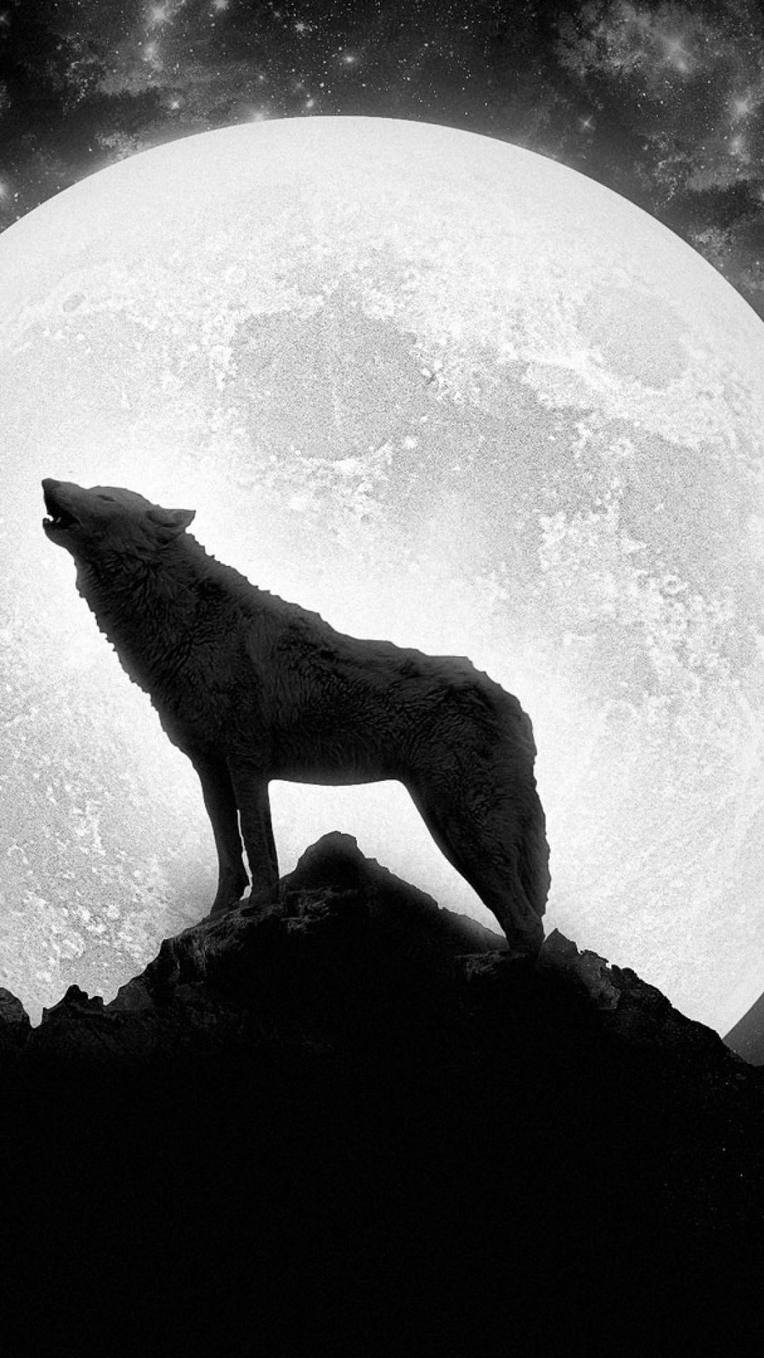 Howling Wolf музыкант