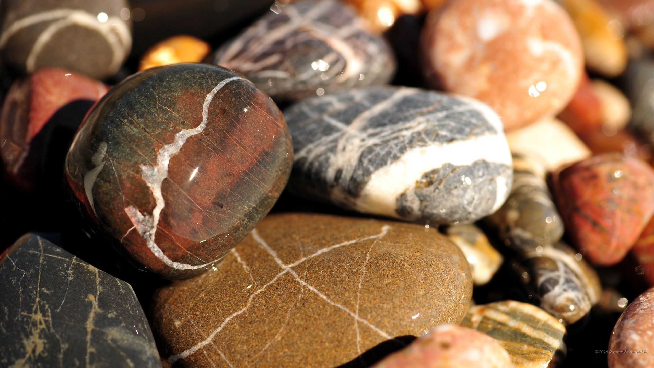 Печеный камень. Красивые морские камни. Природный камень. Коллекция красивых камней. Коллекция морских камней.