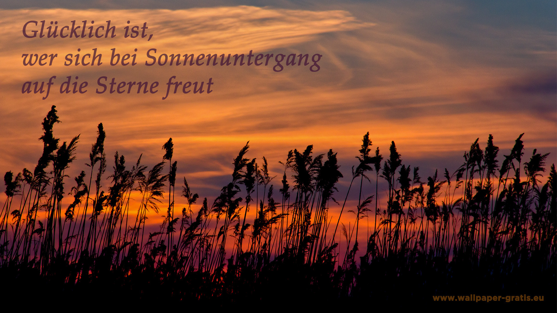 Die 80 Besten Spr che Hintergrundbilder Die 80 Besten Spr che Hintergrundbilder