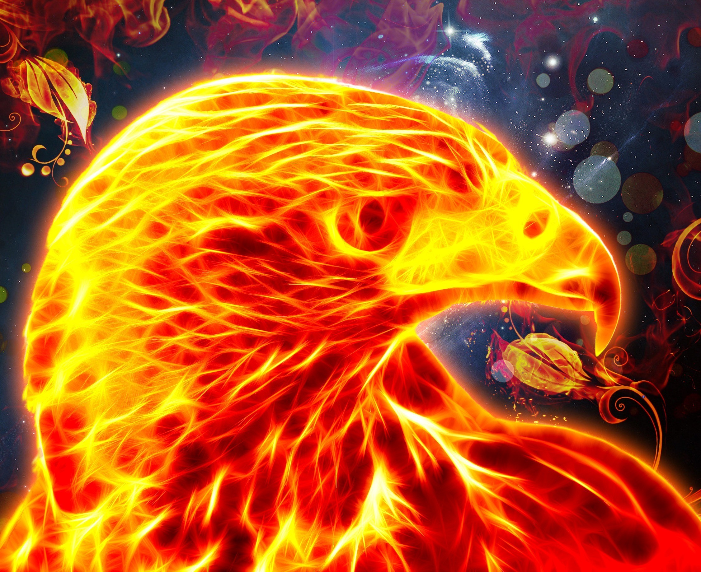 Огненный феникс читать. Огненный Сокол Рарог. Птица Феникс. Огненная птица. Птица Феникс в огне.