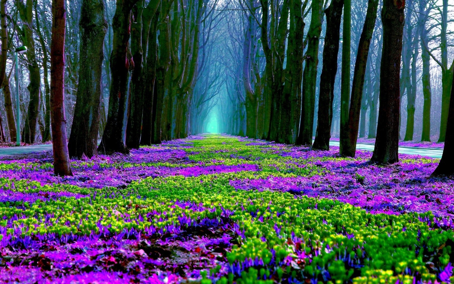 Die 92 Besten Fr hling Wallpapers