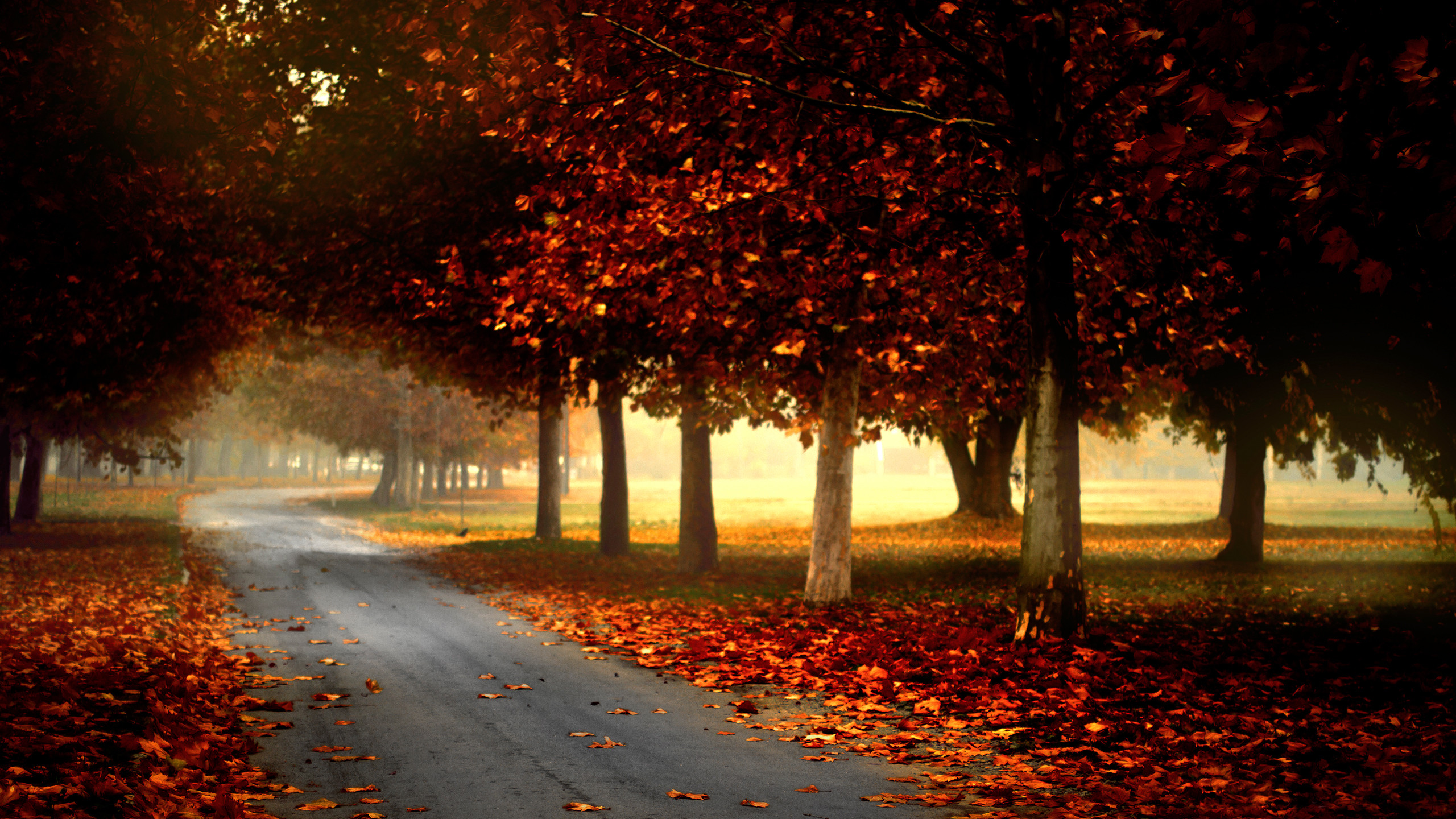 Die 83 Besten Herbst Wallpapers