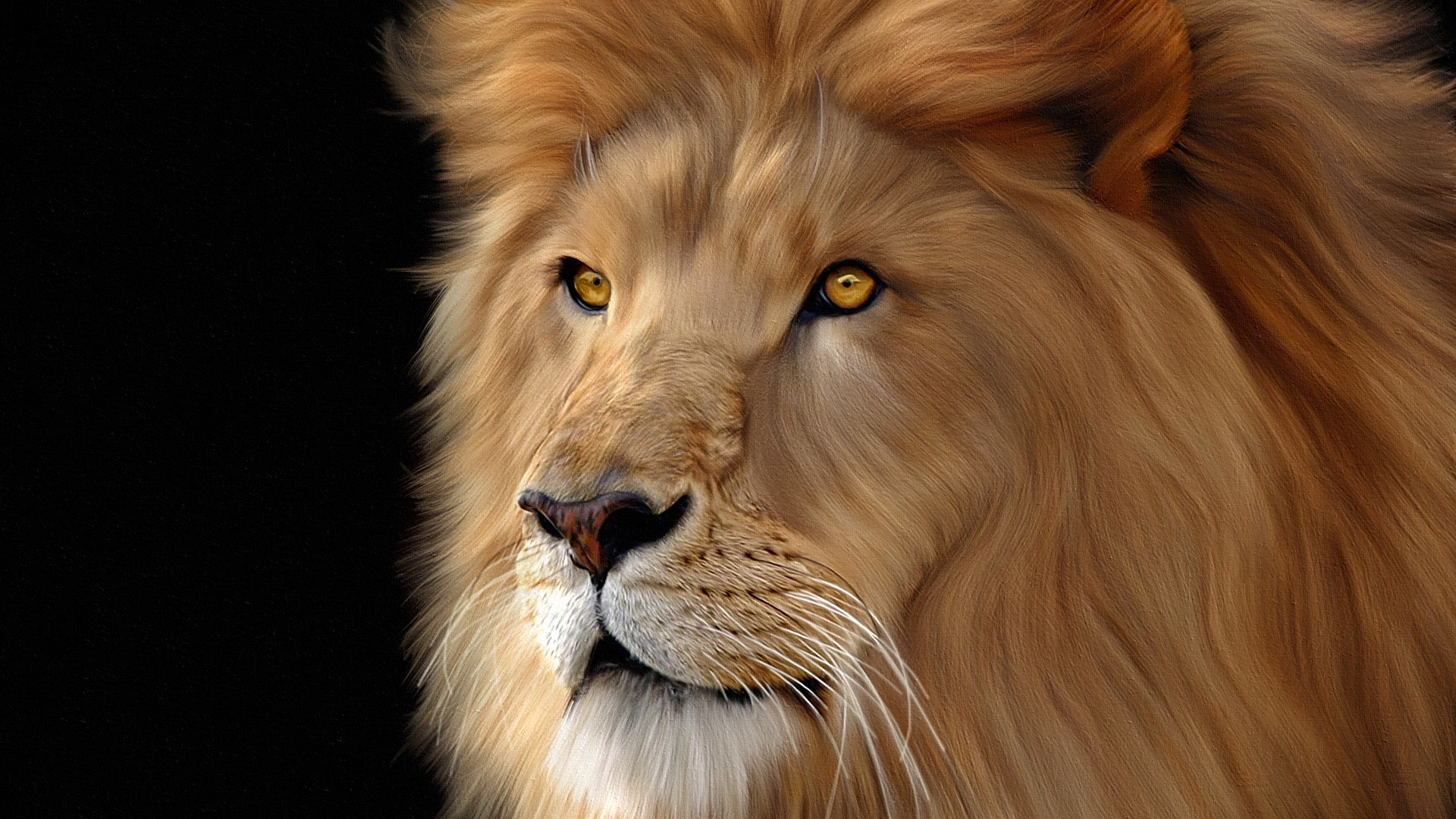 Die 69 Besten Löwe Hintergrundbilder