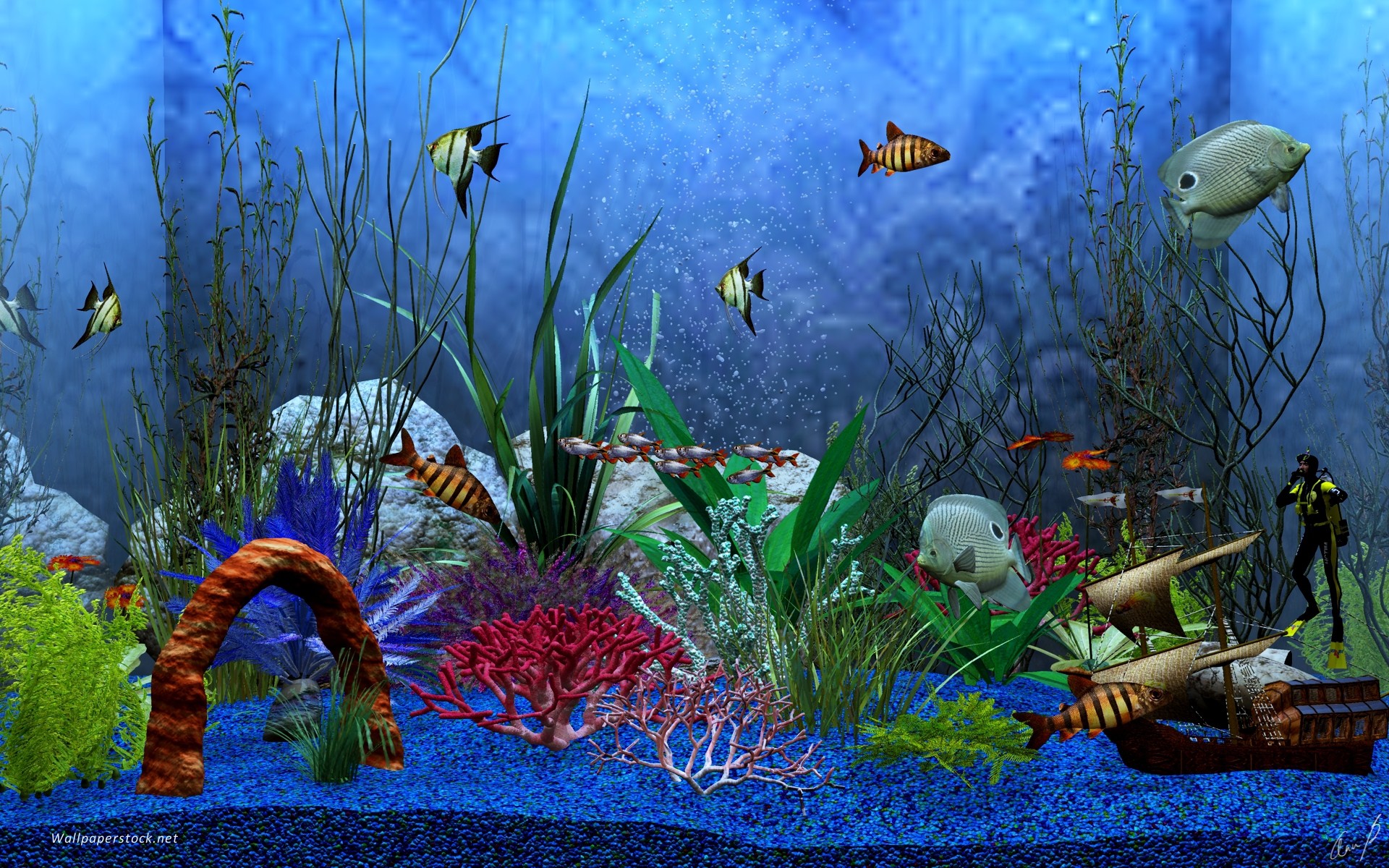 Die 54+ Besten Aquarium Hintergrundbilder