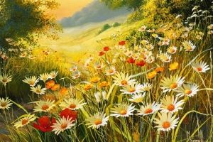 Blumenwiese Hintergrundbilder