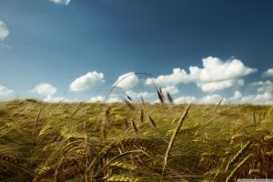Wind Hintergrundbilder