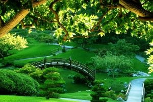 Beautiful Wallpapers