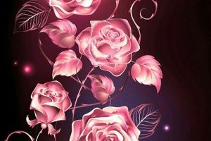 Rosen Muster Hintergrundbilder