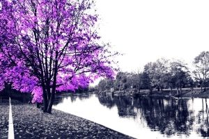 Natur Hintergrundbilder HD 1920x1080