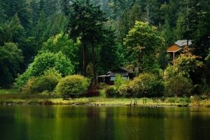 Sommerliche Natur Hintergrundbilder HD
