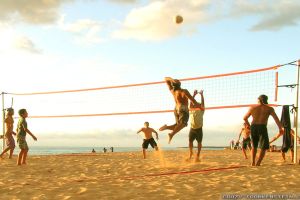 Volleyball Hintergrundbilder