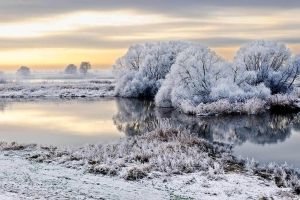 Winterliche Tiere Hintergrundbilder