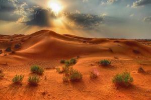 Wüste Hintergrundbilder