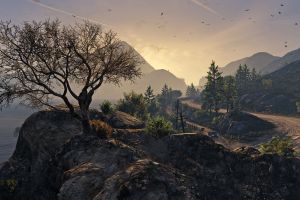 Gta 5 Hintergrundbilder