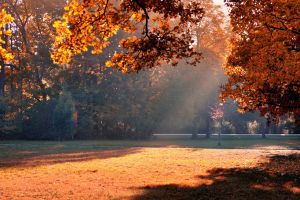 Herbst Hintergrundbilder HD