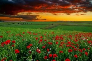 Sommerliche Landschaften Hintergrundbilder