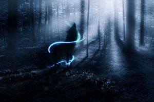 Wolf Hintergrundbilder