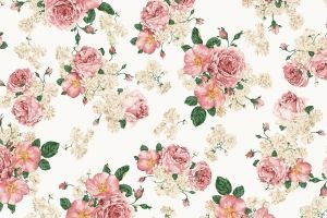 Blumenmuster Hintergrundbilder