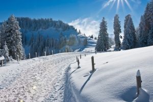 Winter Hintergrundbilder HD 1920x1080