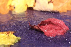 Herbst Grüße Hintergrundbilder
