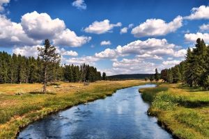 Fluss Hintergrundbilder
