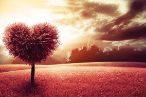 Natur wunderschöne Hintergrundbilder