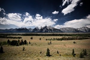 Baume Berge Bewolkt Hintergrundbilder