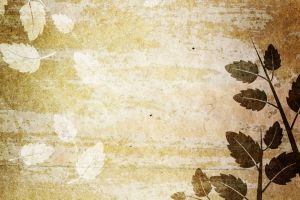 Vintage Hintergrundbilder