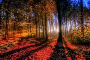 Licht Und Schatten Hintergrundbilder