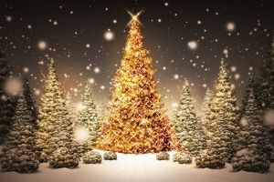 Weihnachtsbaum Hintergrundbilder