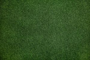 Gras Textur Hintergrundbilder