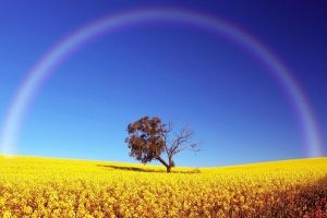 Regenbogen Hintergrundbilder
