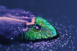 Glitzer Hintergrundbilder HD