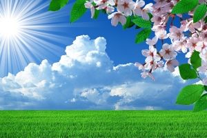 Natur Hintergrundbilder für PC