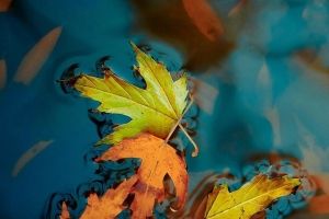 Handy Full HD Wallpapers
