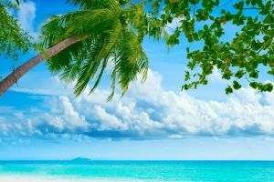 Natur und Sommer Hintergrundbilder HD