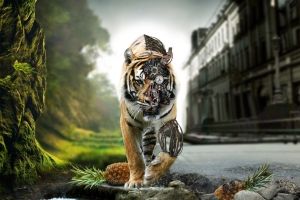 Hintergrundbilder Full HD 1920x1080