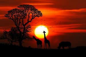 Afrika Hintergrundbilder