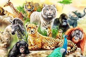 Hintergrundbilder der schönen Tiere für Desktop