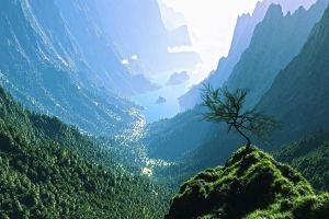 PC Wallpapers