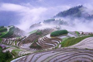 Hintergrundbilder für Windows 10
