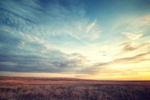 Wallpapers HD Nature